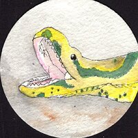 EDATHON 9 Green Anaconda